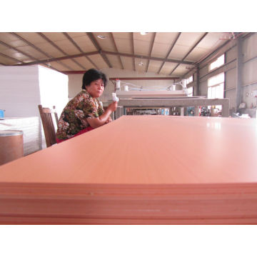 2014 WPC CRUST FOAM CABINET SHEET FOR CABINET 1220*2440mm